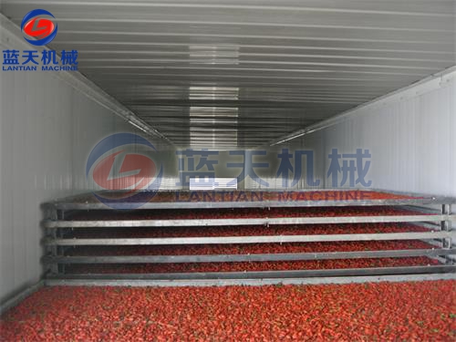 寧夏枸杞烘干機烘干現場